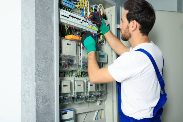 Best Ceiling Fan Installation Electrician  in Reeds Spring, MO
